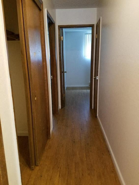 Foto del edificio - Rochelle Apartments