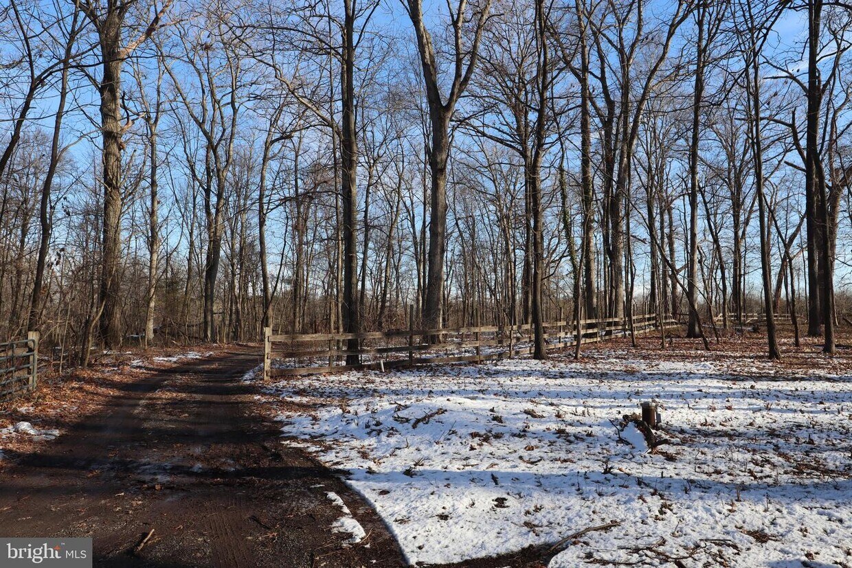 Primary Photo - 24653 Peach Orchard Ln
