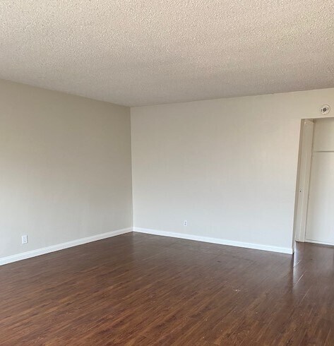 Living Room - 2610 Florida St
