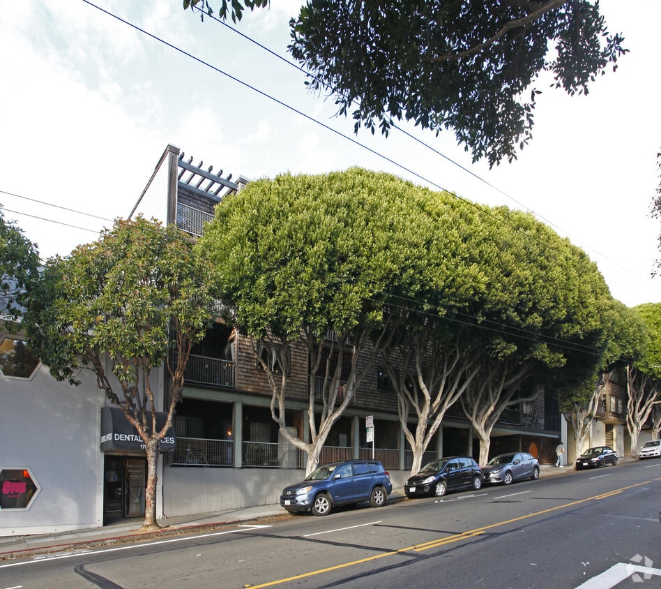 Primary Photo - Namiki Apartments
