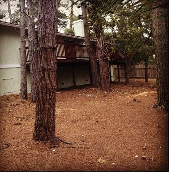 Foto del edificio - Large Pebble Beach Home