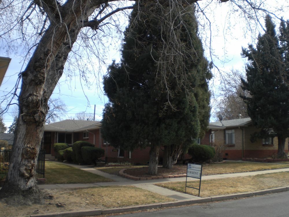 Primary Photo - 3442 Decatur St