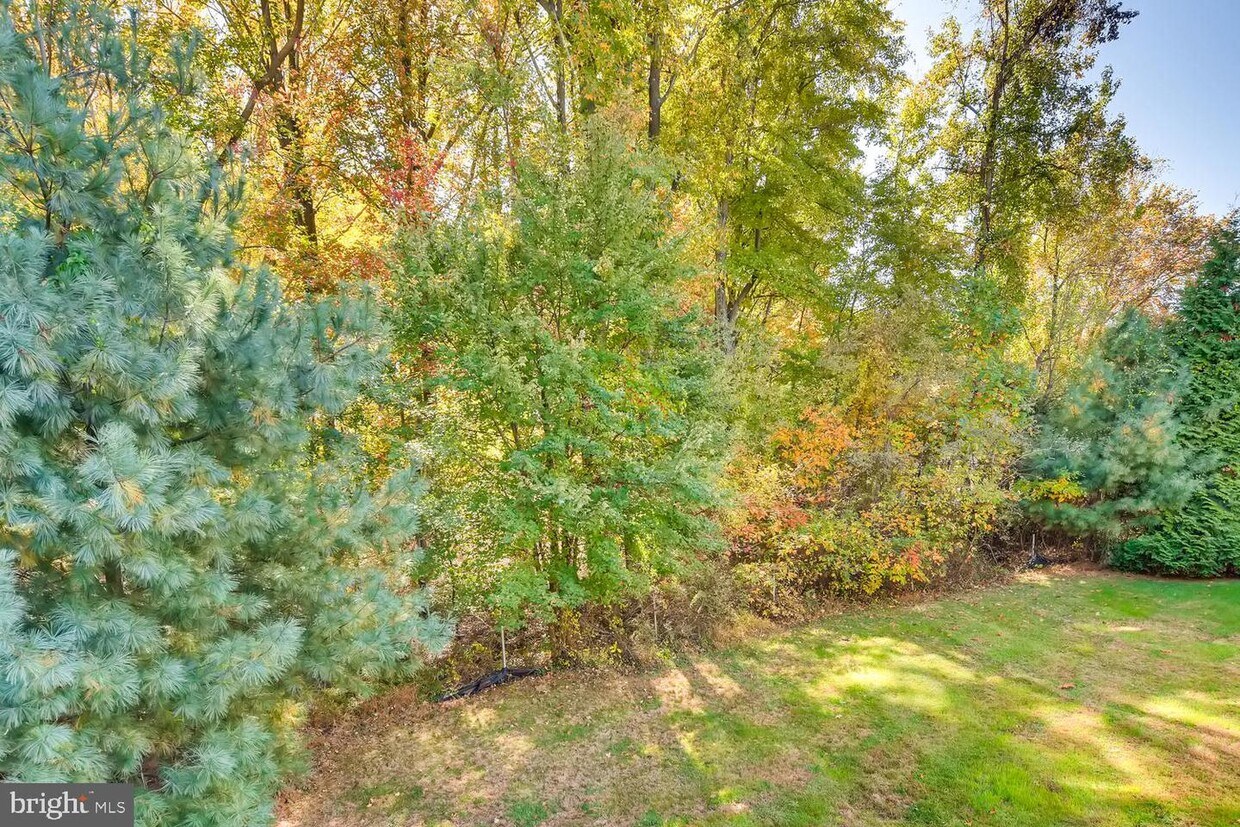 137 Ohio St Unit 19, Havre de Grace, MD 21078 Condo for Rent in Havre