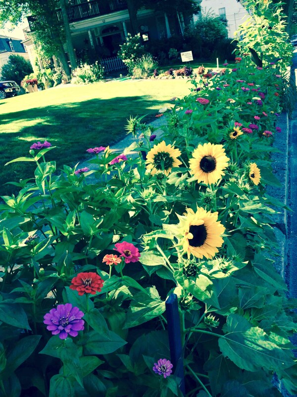 Building Photo - 443 Hope St