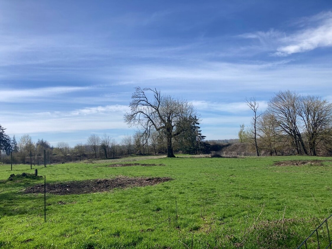 Building Photo - Grand Home!