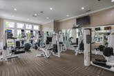 Located at 5450 Glenridge Dr NE in Sandy Springs, Georgia, this fitness center is a comprehensively outfitted facility designed to support a full range of workout routines. The space is housed within a single-floor layout and benefits from an open, airy atmosphere created by expansive floor-to-ceiling windows that allow abundant natural light to pour in and offer views of the surrounding greenery.

The interior is finished with neutral, warm-toned walls, crown molding, and patterned commercial carpet tiles that add a refined yet functional aesthetic throughout. Wall-to-wall mirrors are strategically positioned to visually expand the space and allow users to monitor their form during exercise.

The cardio section is well-stocked with Life Fitness treadmills and a row of elliptical trainers, each equipped with individual monitors for entertainment during workouts. Multiple flat-screen televisions are mounted overhead, providing additional viewing options. The strength-training area features a diverse selection of white-framed resistance machines, free weights, a multi-function cable station, and a TRX suspension training system. Exercise balls and a portable air scrubber are also present, rounding out the facility's offerings.

Recessed lighting supplements the natural light, ensuring consistent illumination throughout all hours. The overall ambiance is clean, modern, and professional, making this fitness center a standout amenity.