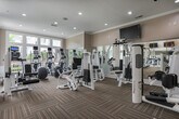 Located at 5450 Glenridge Dr NE in Sandy Springs, Georgia, this fitness center is a comprehensively outfitted facility designed to support a full range of workout routines. The space is housed within a single-floor layout and benefits from an open, airy atmosphere created by expansive floor-to-ceiling windows that allow abundant natural light to pour in and offer views of the surrounding greenery.

The interior is finished with neutral, warm-toned walls, crown molding, and patterned commercial carpet tiles that add a refined yet functional aesthetic throughout. Wall-to-wall mirrors are strategically positioned to visually expand the space and allow users to monitor their form during exercise.

The cardio section is well-stocked with Life Fitness treadmills and a row of elliptical trainers, each equipped with individual monitors for entertainment during workouts. Multiple flat-screen televisions are mounted overhead, providing additional viewing options. The strength-training area features a diverse selection of white-framed resistance machines, free weights, a multi-function cable station, and a TRX suspension training system. Exercise balls and a portable air scrubber are also present, rounding out the facility's offerings.

Recessed lighting supplements the natural light, ensuring consistent illumination throughout all hours. The overall ambiance is clean, modern, and professional, making this fitness center a standout amenity.