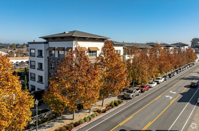 Building Photo - 888 San Mateo Apartments