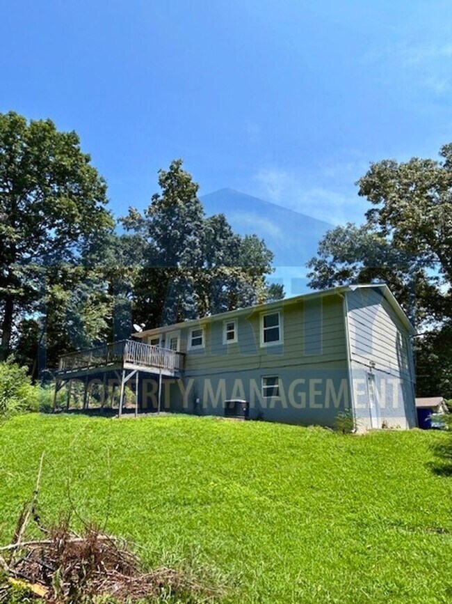 Building Photo - Large, private back yard!