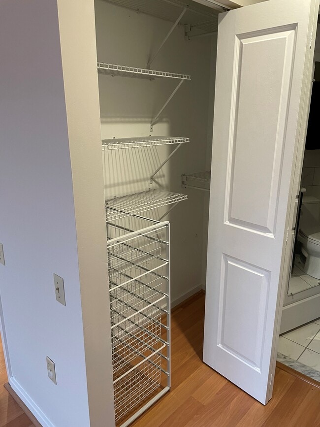 Primary Closet - 315 New St
