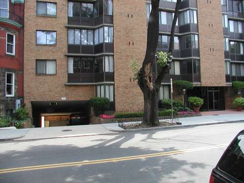 Vista al edificio ruta alternativa - Webster House