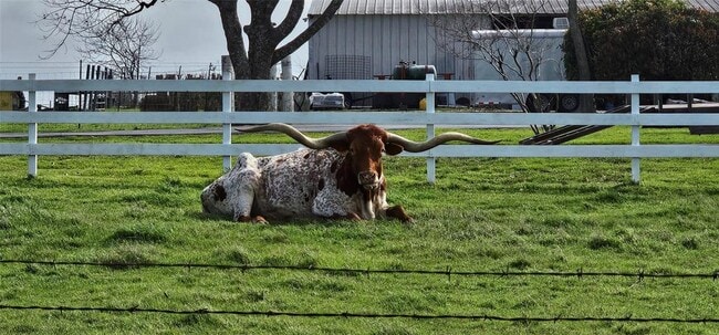 Building Photo - 16 Brenda Ln