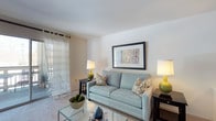 This single-floor space presents a thoughtfully arranged living area that combines comfort with a clean, understated aesthetic. The living room serves as the centerpiece of the space, featuring soft wall-to-wall carpeting underfoot and smooth, neutral-toned walls that create a calm and welcoming atmosphere. A large window dressed with sheer, striped curtains allows generous natural light to filter into the room, brightening the space throughout the day while maintaining a sense of privacy.

The room accommodates a plush sofa in a soft blue-grey hue, accented with decorative patterned throw pillows that add a touch of visual interest. A glass-top coffee table anchors the seating area, complementing the light and airy feel of the room. Flanking the sofa are dark wood end tables, each topped with yellow-accented table lamps that provide warm ambient lighting in the evenings. A framed piece of wall art adds a focal point above the sofa, contributing to the room's polished, move-in-ready appearance. Overall, the space exudes a relaxed yet refined character suited for everyday living.