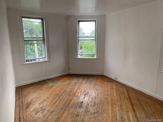 Building Photo - 1181 Sackett Ave