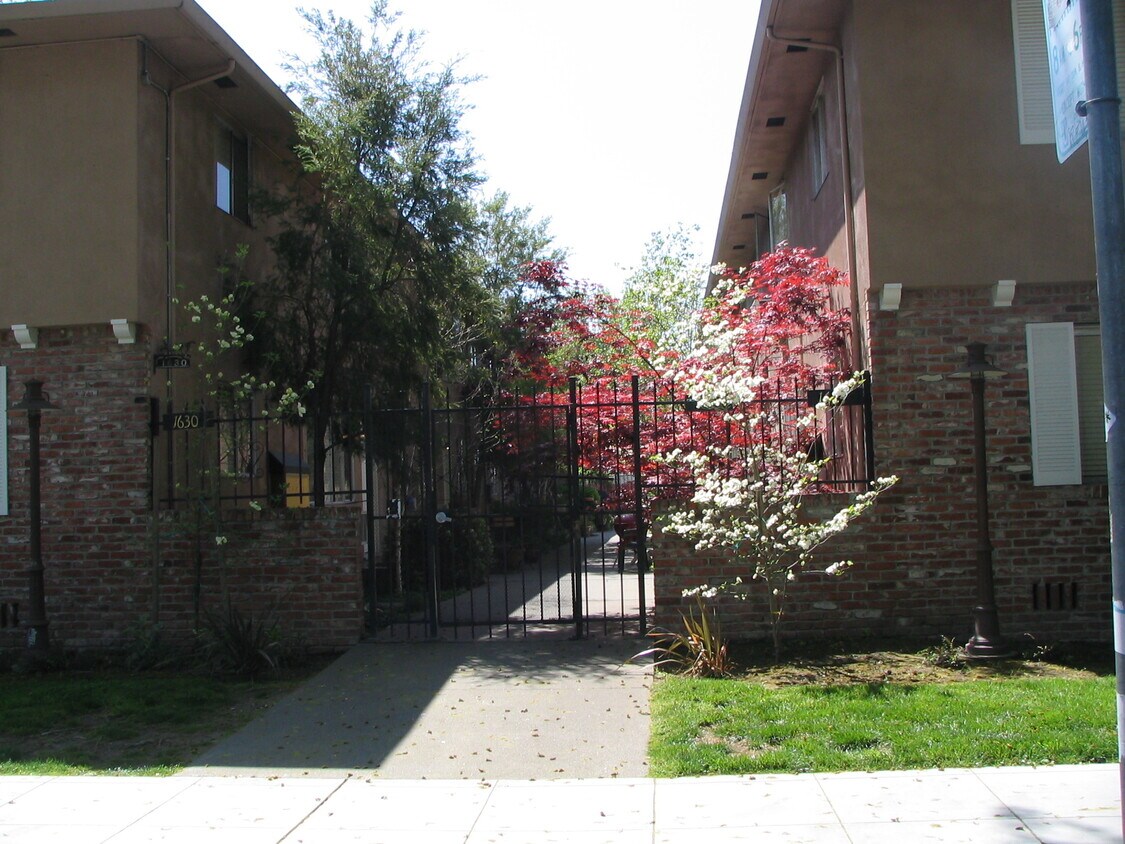 Front gate to courtyard. The dogwoods now reach the roof. - 1624 T St