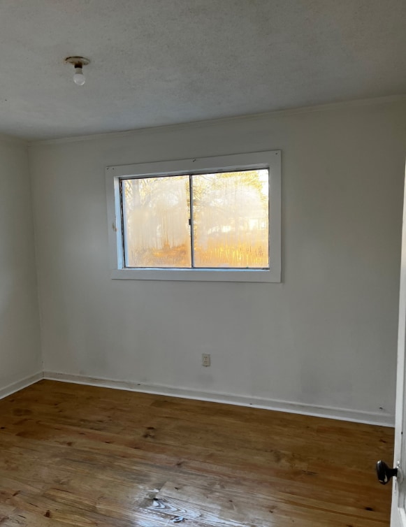 Building Photo - 141 Cartwright Ave