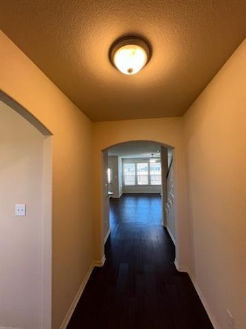 Foto del edificio - 3729 Caladium Ln