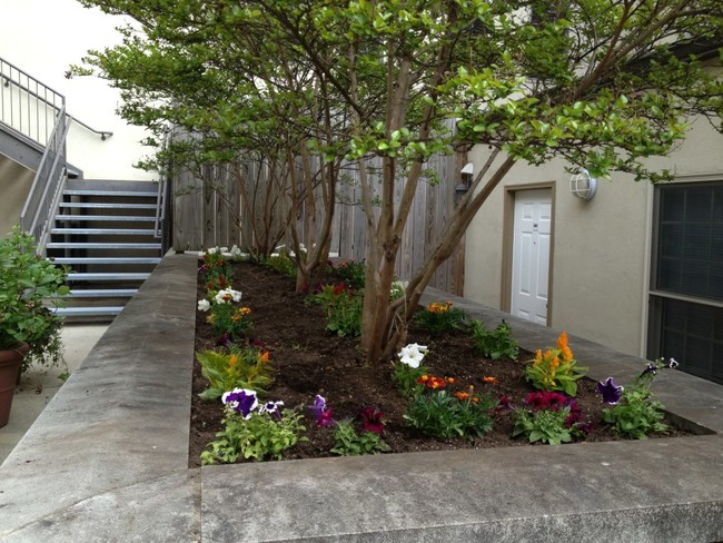 Patio de la corte - The Lofts at 2nd and LOMA