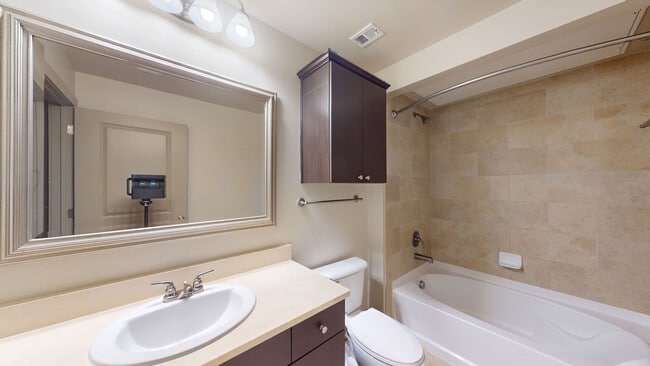 Interior Photo - Domain College Park