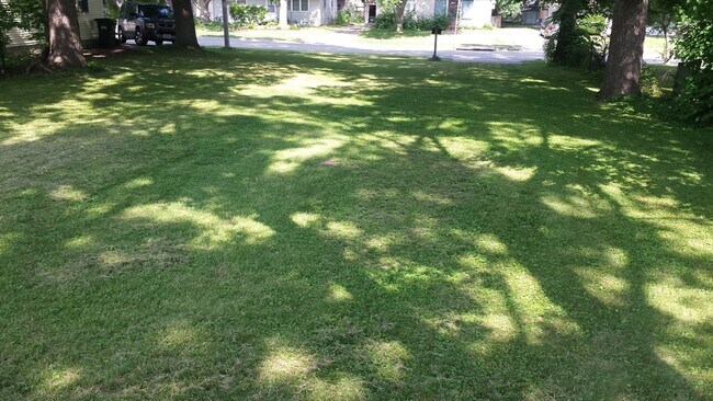 Large Yard! - 1117 S 1st Ave