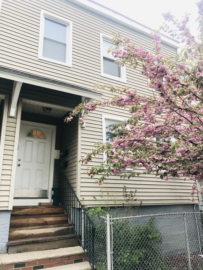 Building Photo - 167 Thorndike St