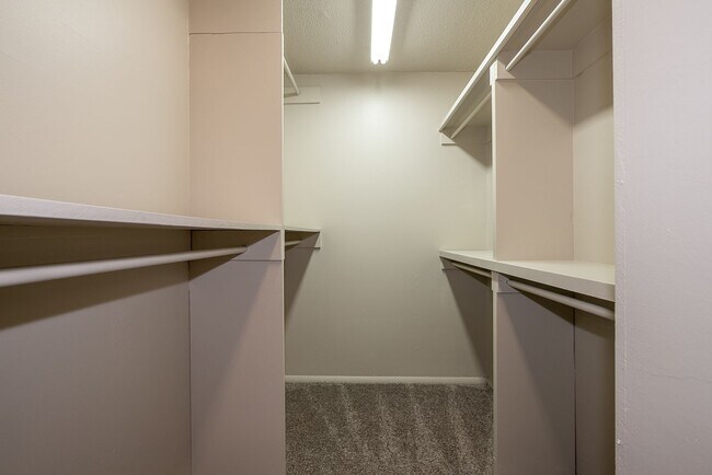 Foto del edificio - Renovated 1 bedroom in desirable midtown T...