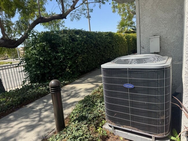 Foto del edificio - Palm Colony End Unit | Resort Living Included!