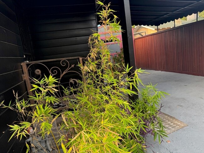 Building Photo - 1200 Tamarind Ave