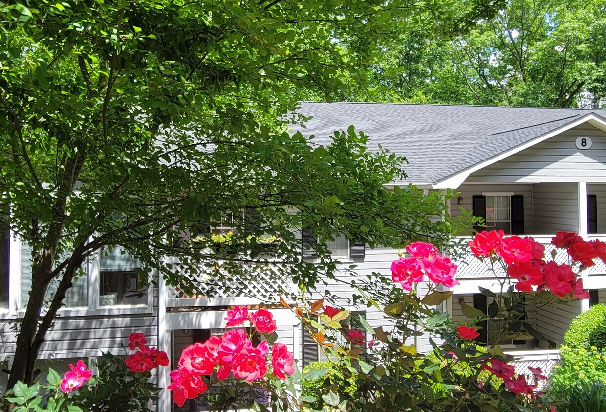 Building Photo - 805 Vicksburg Pl