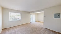 This 1-bedroom, 1-bathroom unit offers a practical and comfortable single-floor layout designed to maximize everyday livability. The living area is bright and open, featuring neutral-toned carpet, crisp white walls, and multiple windows that invite an abundance of natural light. A sliding glass door with vertical blinds opens to an outdoor balcony, providing pleasant outdoor views and easy access to fresh air. The space flows seamlessly into a dining or flex area, creating a versatile, open feel throughout.

The kitchen is well-equipped with rich, dark-stained wood cabinetry that extends to the ceiling for ample storage, light-toned countertops, and wood-look flooring. Black appliances — including a gas range, refrigerator, and microwave — lend a cohesive, functional aesthetic to the space.

The bedroom is generously proportioned, featuring soft carpeting, a large window with outdoor views, and the notable convenience of two side-by-side closets with bi-fold doors, offering exceptional storage capacity. The full bathroom includes a tiled tub-and-shower combination, a vanity with dark wood cabinetry, and wood-look flooring, maintaining a consistent design language throughout. A dedicated entry area with a coat closet completes this thoughtfully designed unit.