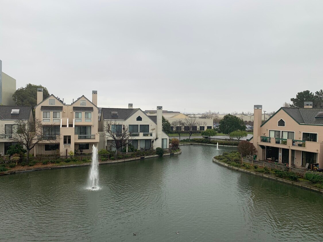 14 Redondo Ct, Alameda, CA 94501 Condo for Rent in Alameda, CA