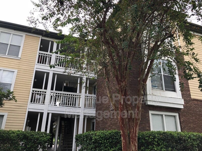 10114 Winsford Oak Blvd Unit 517, Tampa, FL 33624 Condo for Rent in Tampa, FL