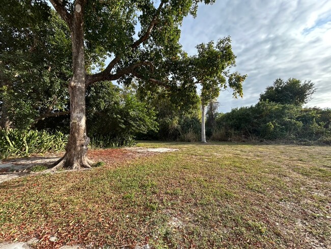 Backyard - 304 South Rd