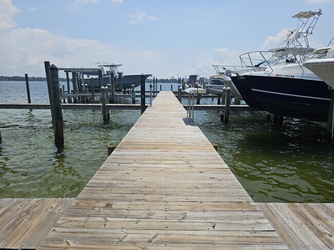 Building Photo - 2384 Palm Harbor Dr