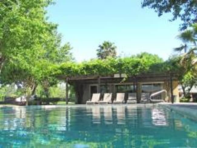 Interior Photo - Lakeshore Apartments - Lake Views!