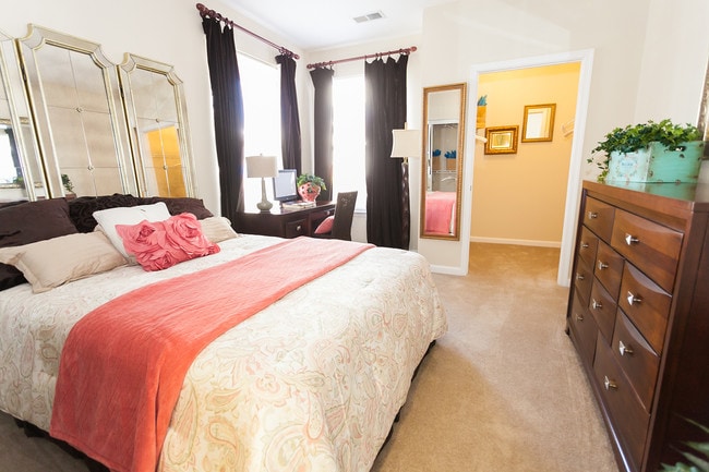 Building Photo - Falcon Creek