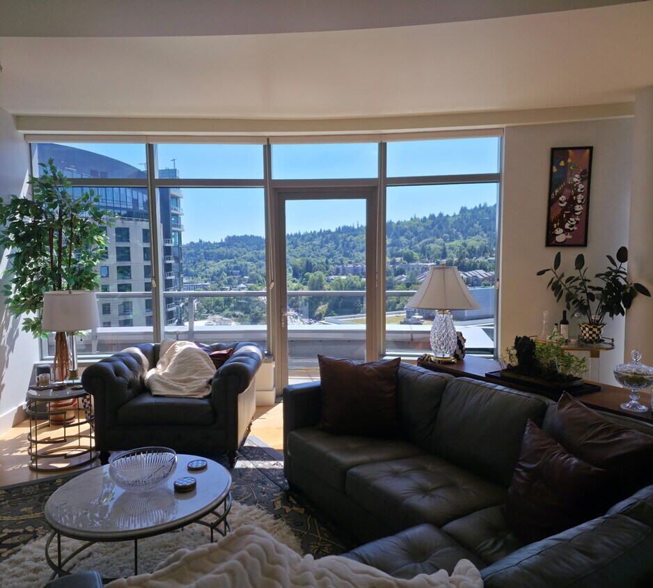 living room - 3601 S River Pky