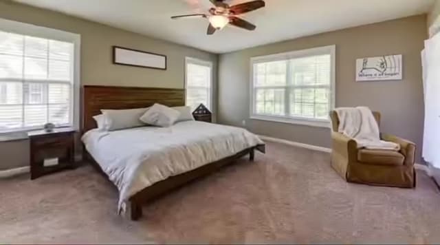 Building Photo - 14 Clayton Ct