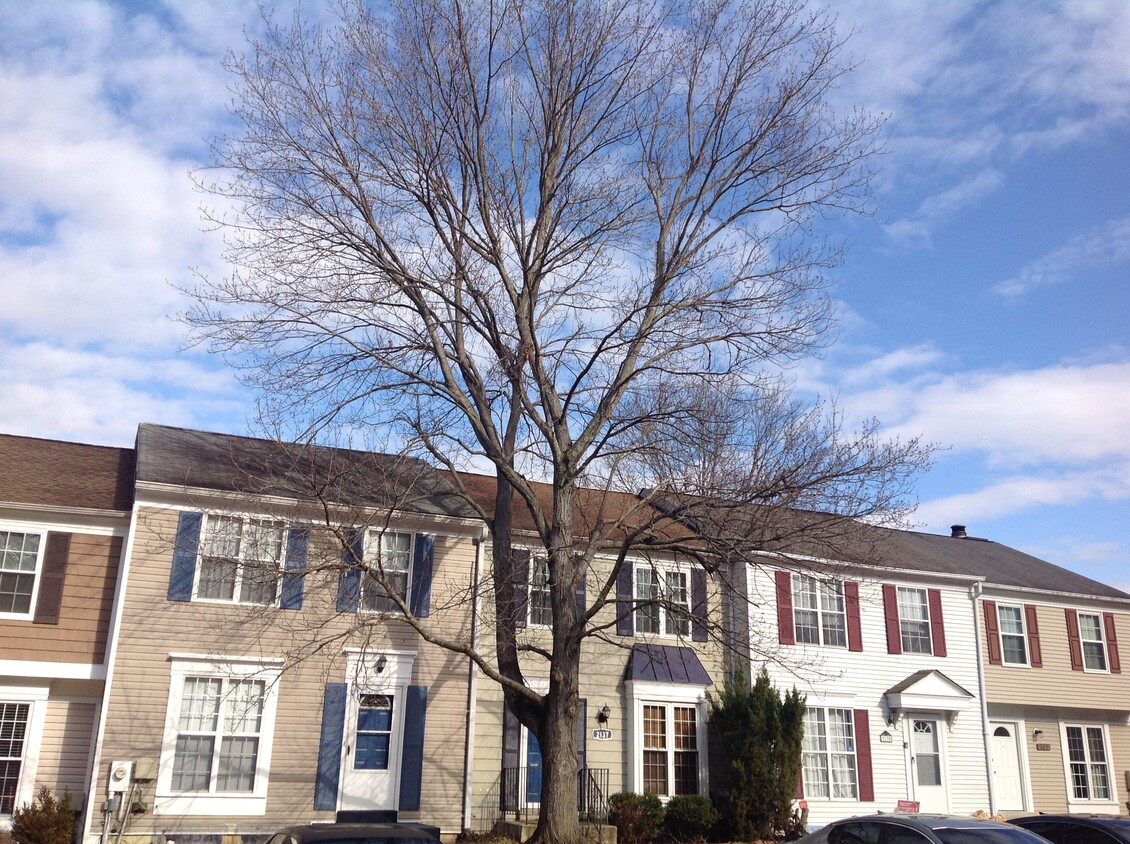 Primary Photo - 2139 Princess Anne Ct
