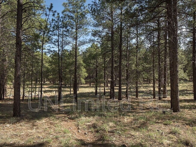 Foto del edificio - 4555 S Lake Mary Rd