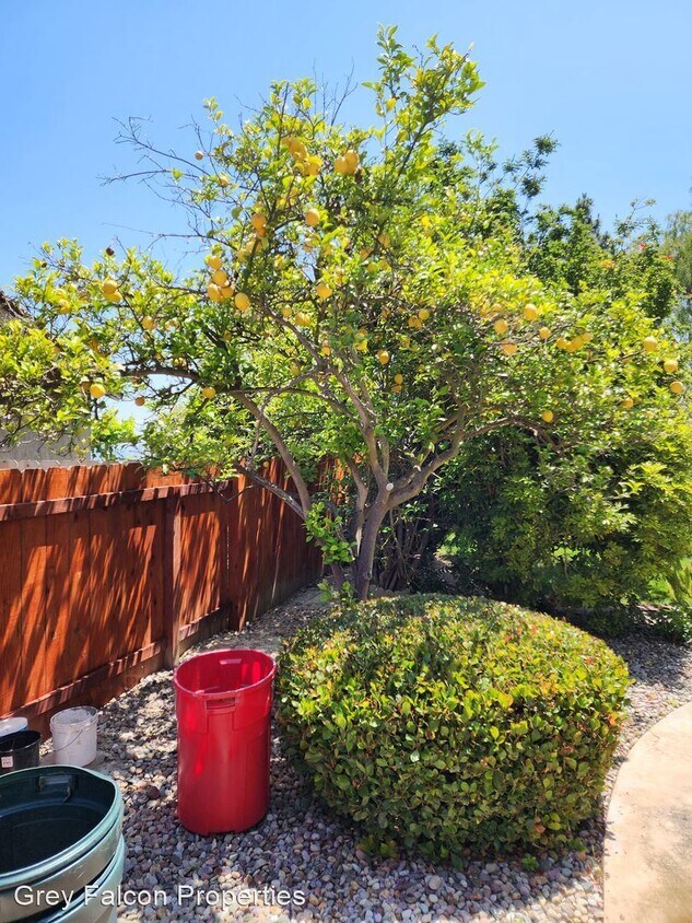 Building Photo - 3 br, 2 bath House - 11535 Eaglesview Ct.