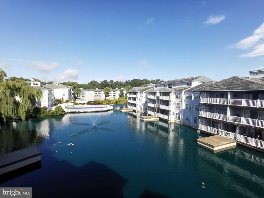 Foto principal - 306 Waters Edge Dr