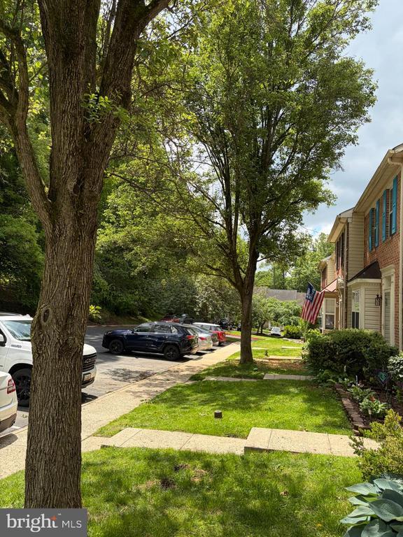 Foto del edificio - 448 Oakton Way