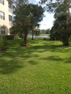 Foto del edificio - 4010 Loblolly Bay Dr