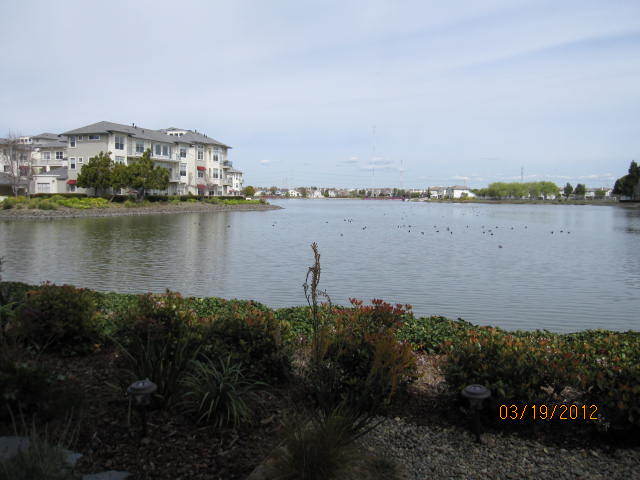 Building Photo - 206 Mendocino Way