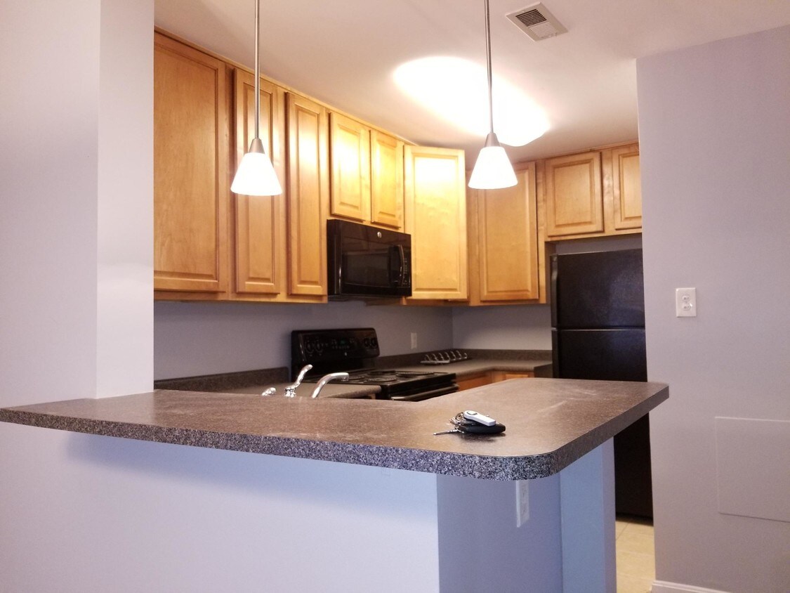 Foto principal - 10303 Appalachian Cir