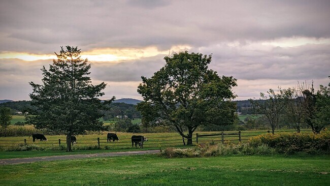 view of neighbors farm - 206 Green Hill Rd