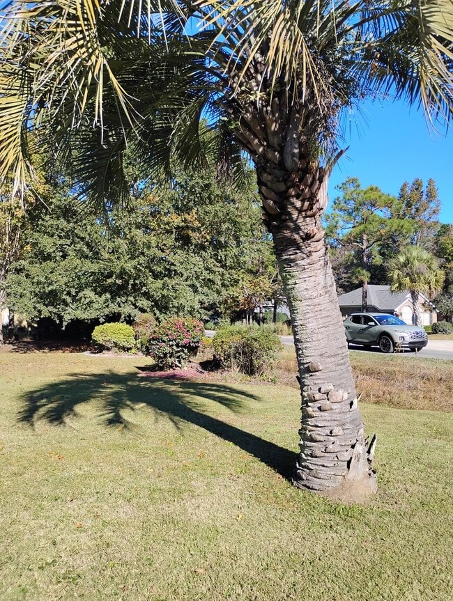 Foto del edificio - Gleneagles Drive