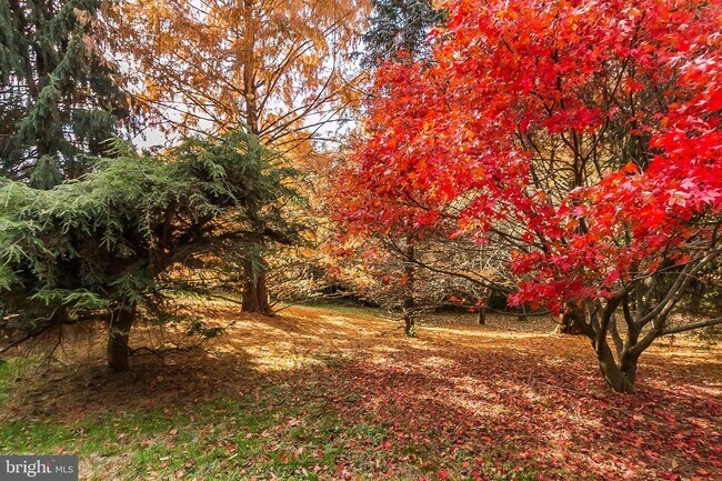 Foto del edificio - 15024 Wheeler Ln