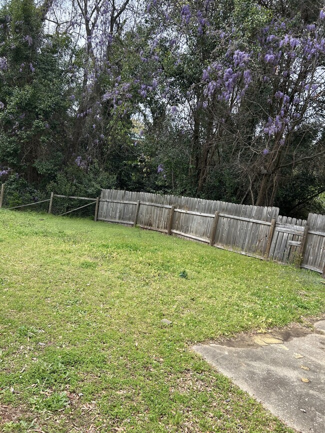 Back yard fenced - 404 S Green St